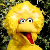 bigbird