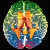 Thalamus