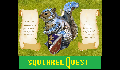 play Squirrel Quest